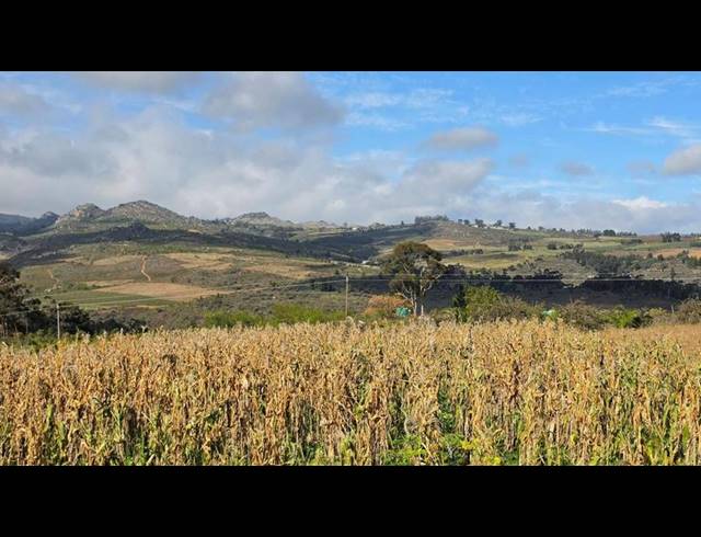 FARM FOR SALE IN PIKETBERG RURAL